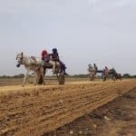 Centro di Trasformazione Agroalimentare “Luca Attanasio” – Senegal